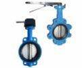 Typea/LT Concentric Butterfly Valve